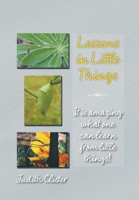 Lessons in Little Things(English, Hardcover, Clister Judith)