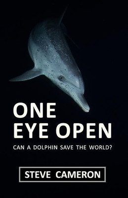 One Eye Open(English, Paperback, Cameron Steve)