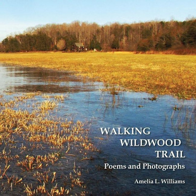 Walking Wildwood Trail(English, Paperback, Williams Amelia L)