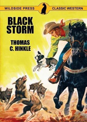 Black Storm(English, Paperback, Hinkle Thomas C)