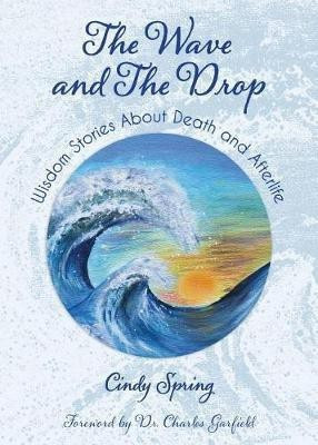 The Wave and The Drop(English, Paperback, Spring Cindy)