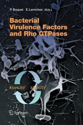 Bacterial Virulence Factors and Rho GTPases(English, Paperback, unknown)