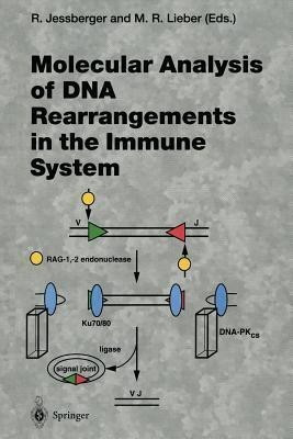 Molecular Analysis of DNA Rearrangements in the Immune System(English, Paperback, unknown)