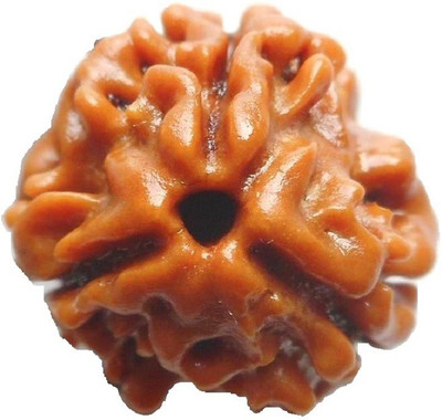 Takshila Gems Natural 3 Mukhi Rudraksha (3 Face Rudraksha) Lab Certified Rudraksha, Three Face Rudraksha Wood Pendant