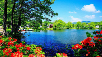 anshul internet point 45.72 cm BEAUTIFUL SCENERY 2 Self Adhesive Sticker(Pack of 1)