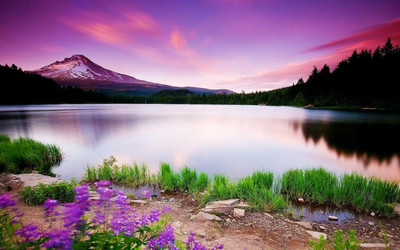 anshul internet point 45.72 cm BEAUTIFUL SCENERY 1 Self Adhesive Sticker(Pack of 1)