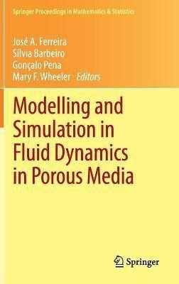 Modelling and Simulation in Fluid Dynamics in Porous Media(English, Hardcover, unknown)