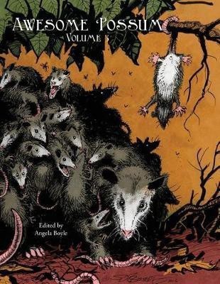 Awesome 'Possum, Volume 3(English, Paperback, unknown)