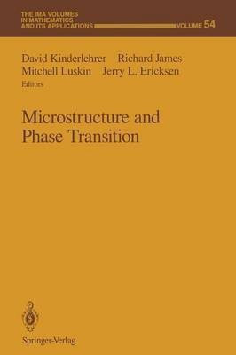Microstructure and Phase Transition(English, Paperback, unknown)