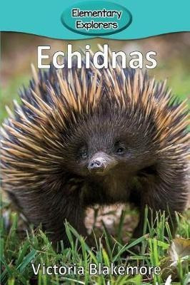 Echidnas(English, Paperback, Blakemore Victoria)