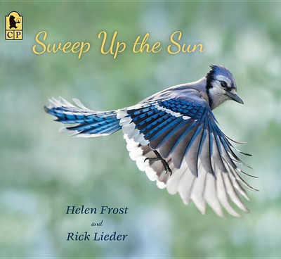 Sweep Up the Sun(English, Paperback, Frost Helen)