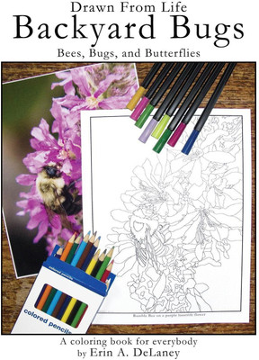 Drawn From Life Backyard Bugs(English, Paperback, unknown)