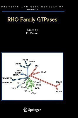 Rho Family GTPases(English, Hardcover, unknown)