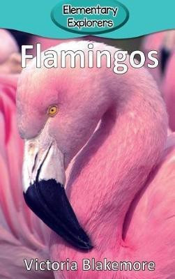 Flamingos(English, Hardcover, Blakemore Victoria)