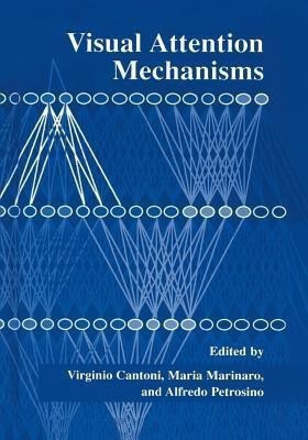 Visual Attention Mechanisms(English, Paperback, unknown)