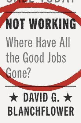 Not Working(English, Hardcover, Blanchflower David G.)