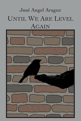 Until We Are Level Again(English, Paperback, Araguz Jose Angel)