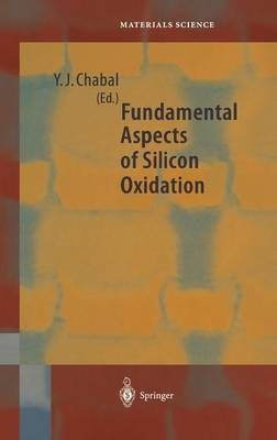 Fundamental Aspects of Silicon Oxidation(English, Hardcover, unknown)