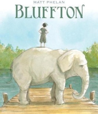 Bluffton(English, Hardcover, Phelan Matt)