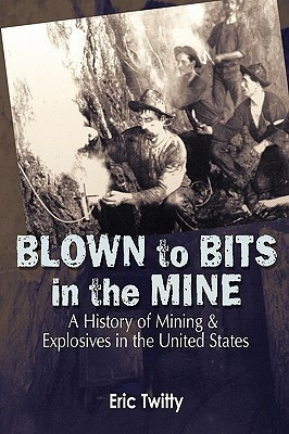 Blown to Bits in the Mine(English, Paperback, Twitty Eric)