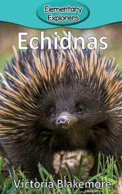 Echidnas(English, Hardcover, Blakemore Victoria)