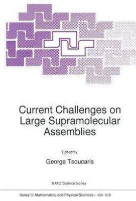 Current Challenges on Large Supramolecular Assemblies(English, Paperback, unknown)