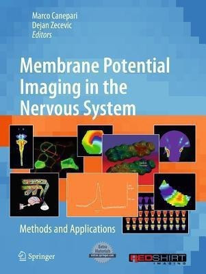 Membrane Potential Imaging in the Nervous System(English, Hardcover, unknown)