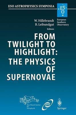 From Twilight to Highlight: The Physics of Supernovae(English, Paperback, unknown)