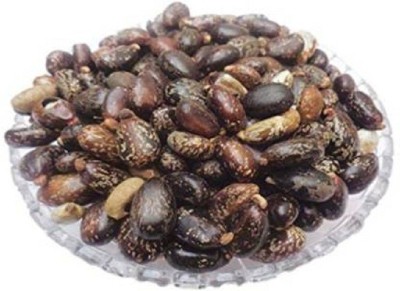 V Seed Castor Seeds Seed(15 per packet)