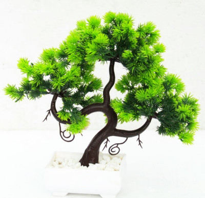 zonezer Artificial plant for decoration for office ,balcony ,dining table.in green colour Bonsai Wild Artificial Plant  with Pot(25 cm, Green)