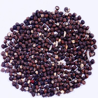 EasySeeds Silk Cotton Semal,Kapok,Red Silk Cotton, Malabar Silk Cotton, Bombax Ceiba Seed(25 per packet)