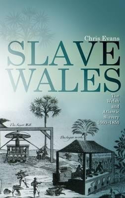 Slave Wales(English, Paperback, Evans Chris)