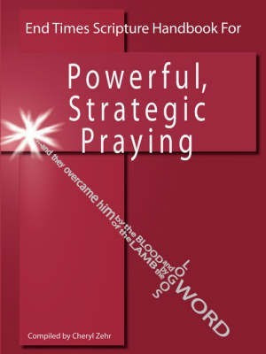 End Times Scripture Handbook for Powerful, Strategic Praying(English, Paperback, Zehr Cheryl)