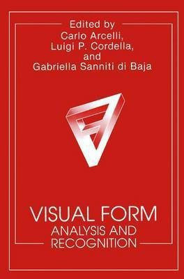 Visual Form(English, Paperback, unknown)