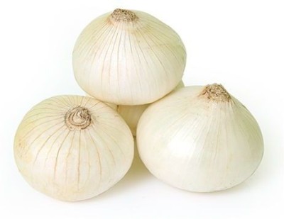 PLANTZON White Onion Seed(34 per packet)