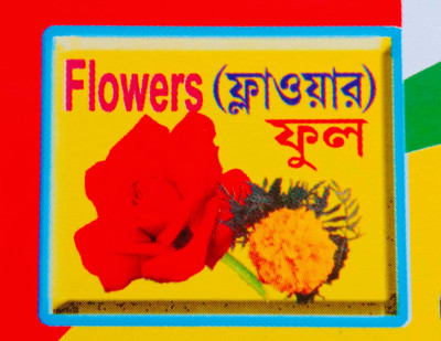 Vrity Of Flowers Ful For Nursery Kid's(Paperback, Bengali, Editorial Team)