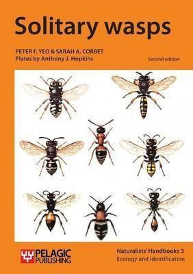 Solitary wasps(English, Paperback, Yeo Peter F.)
