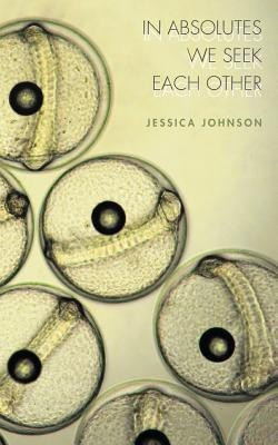 In Absolutes We Seek Each Other(English, Paperback, Johnson Jessica)