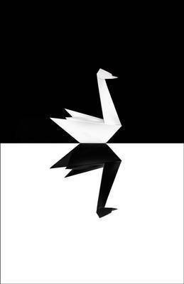 The Black Swan(English, Hardcover, Taleb Nassim Nicholas)