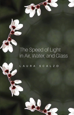 The Speed of Light in Air, Water, and Glass(English, Paperback, Scalzo Laura)