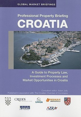 Professional Property Briefings(English, Paperback, unknown)