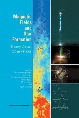 Magnetic Fields and Star Formation(English, Paperback, unknown)