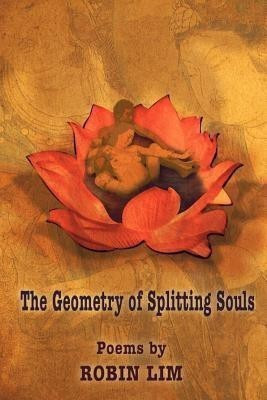 The Geometry of Splitting Souls(English, Paperback, Lim Robin)