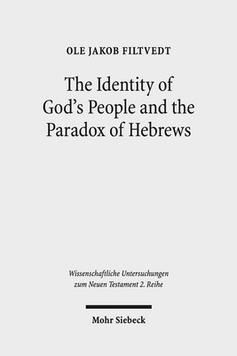 The Identity of God's People and the Paradox of Hebrews(English, Paperback, Filtvedt Ole Jakob)