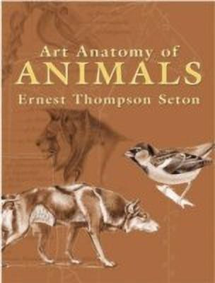 Art Anatomy of Animals(English, Paperback, Seton Ernest Thompson)