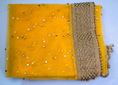 APNA KAPDA BAZAAR Net Self Design Women Dupatta