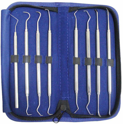 API Perio Scalers Kit, Set of 8 pcs (Stainless Steel) Dental Elevator