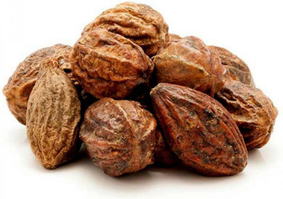 TAMRANSH Seed For: Karakkaya - Harad - Aralu - Inknut - Haritaki - Kadukkai - Harar - Terminalia Chebula(250GM) Seed(250 per packet)