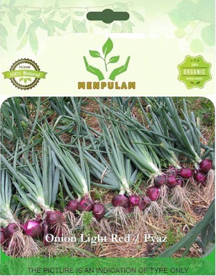 Menpulam Onion Light Red Seed(100 per packet)