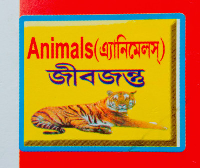 Variety Of Animals Jib Jantu For Nursery Kid's(Paperback, Bengali, Editorial Team)
